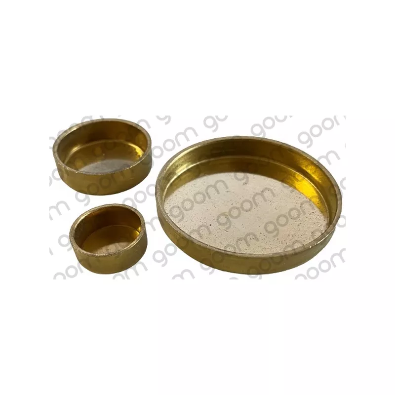 Bouchon de dilatation GOOM FP-0004