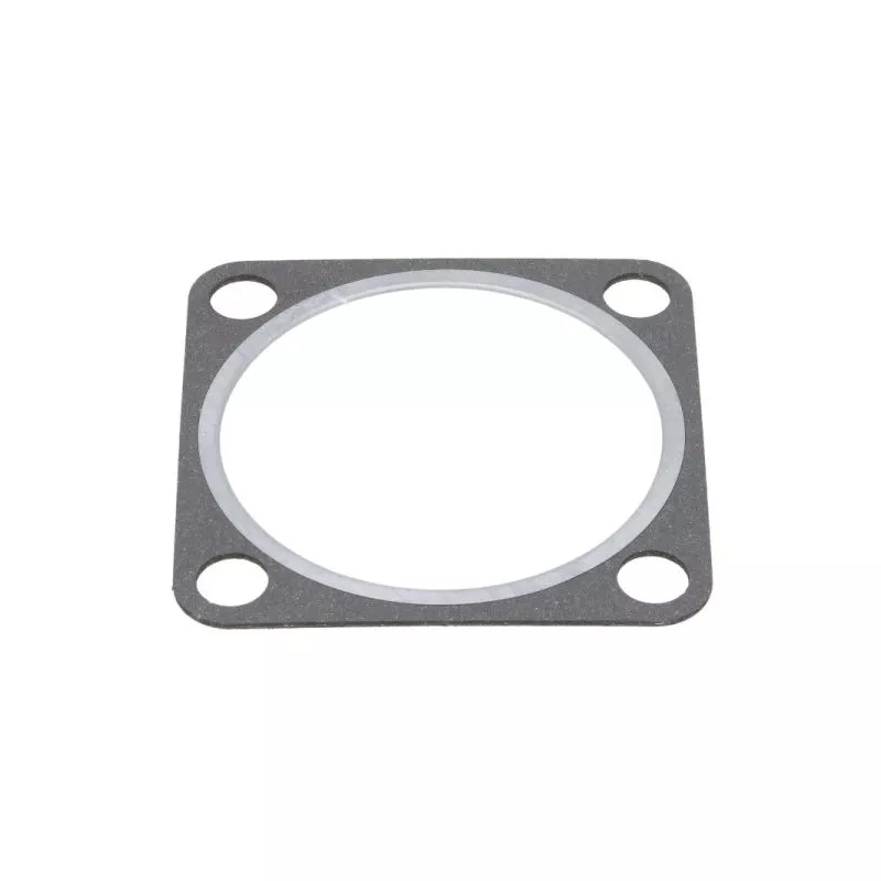 Joint d'étanchéité, tuyau d'échappement ENGITECH ENT010851