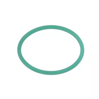 Bague d'étanchéité, injecteur ENGITECH