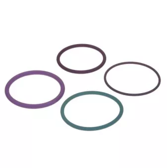 Kit de réparation, unité pompe-injecteur ENGITECH