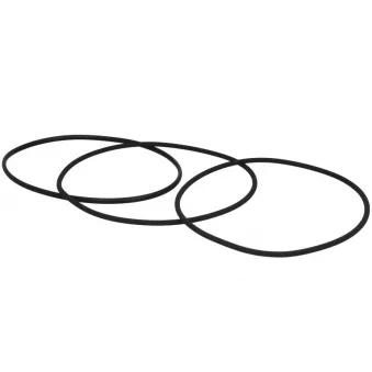 Jeu de joints d'étanchéité, chemise de cylindre ELRING 216.941