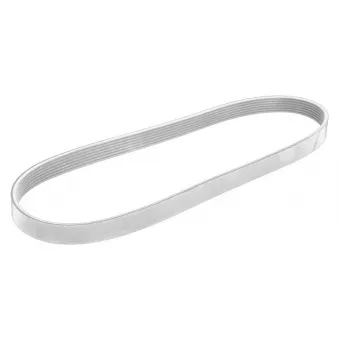 Courroie trapézoïdale à nervures OE