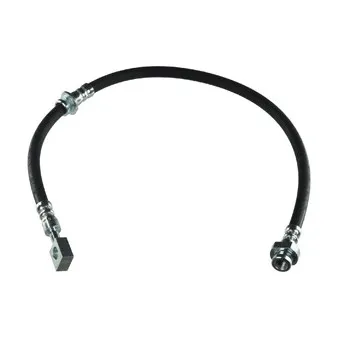 Flexible de frein DELPHI