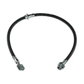 Flexible de frein DELPHI