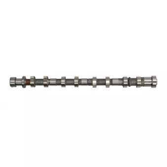 Arbre à came FRECCIA CM05-2287