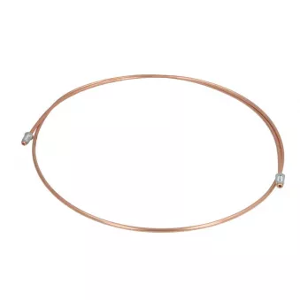 Flexible de frein WP 012