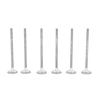 Soupape d'admission OE