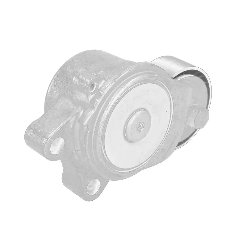 Dispositif de tension, courroie trapézoïdale OE 46334062 - Visuel 1