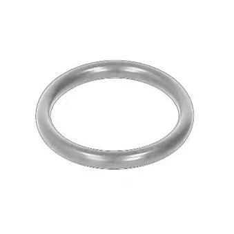 Bague d'étanchéité OE