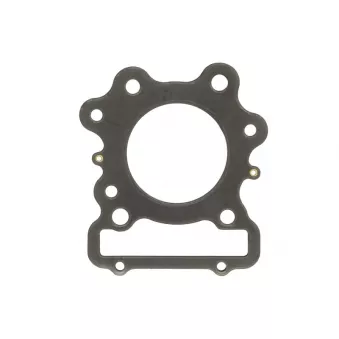 Joint de Culasse ATHENA S410210001099