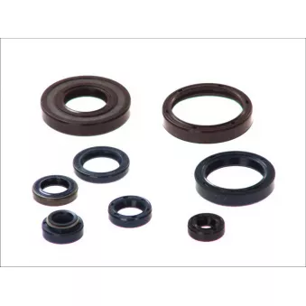 jeu complet de joints, moteur ATHENA P400220400128