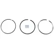 Jeu de segments de pistons DT 7.94509 - Visuel 1