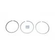 Jeu de segments de pistons DT 4.90617 - Visuel 1