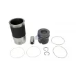 Kit de réparation, Piston/Chemise de cylindre DT 4.90955 - Visuel 1