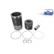 Kit de réparation, Piston/Chemise de cylindre DT 4.90956 - Visuel 1