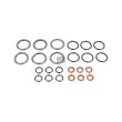 Kit de joints, injecteur DT 4.91179 - Visuel 1