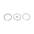 Jeu de segments de pistons DT 4.91146 - Visuel 1