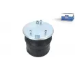 Ressort pneumatique, suspension pneumatique DT 5.10245 - Visuel 1