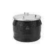 Ressort pneumatique, suspension pneumatique DT 5.10222 - Visuel 1