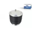 Soufflet de suspension, suspension pneumatique DT 5.10219 - Visuel 1