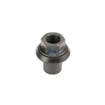 Écrou de roue DT 5.10164