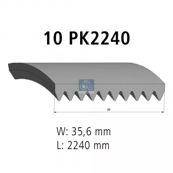 Courroie trapézoïdale à nervures DT