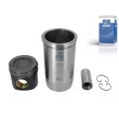 Kit de réparation, Piston/Chemise de cylindre DT 4.91870 - Visuel 1