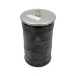 Ressort pneumatique, suspension pneumatique DT 4.81416 - Visuel 1