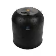 Ressort pneumatique, suspension pneumatique DT 4.81008 - Visuel 1