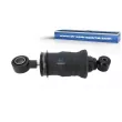 Amortisseur, suspension de la cabine DT 4.70906 - Visuel 1