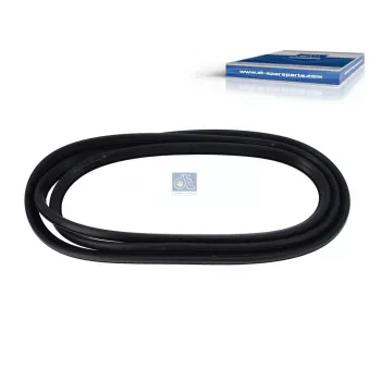 Joint d'étanchéité, pare-brise DT 4.80468