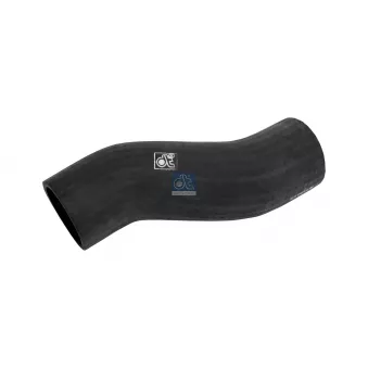 Durite de radiateur DT 4.80419