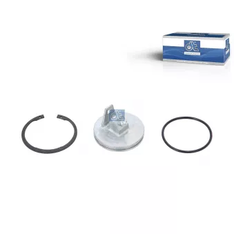 Pastille bombée, fusée d'essieu DT