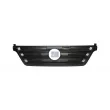 Grille de radiateur DT 4.69897 - Visuel 1