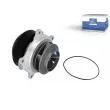 Pompe à eau DT 5.41137 - Visuel 1