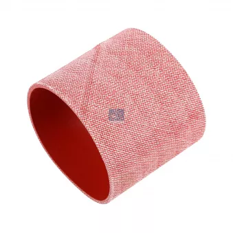 Durite de radiateur DT 5.45201