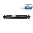 Jeu de 2 amortisseurs avant DT 5.13090 - Visuel 1