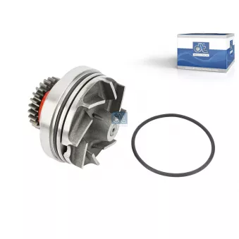 Pompe à eau DT 6.30005