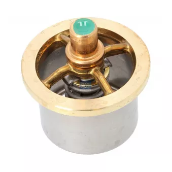 Thermostat, liquide de refroidissement DT 6.30308