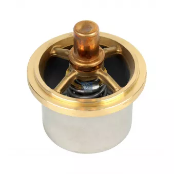Thermostat, liquide de refroidissement DT 6.30309