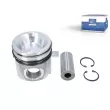 Piston DT 7.54676 - Visuel 1