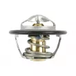 Thermostat, liquide de refroidissement DT 7.60216 - Visuel 1