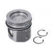 Piston DT 4.50455 - Visuel 1
