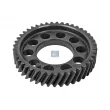 Roue dentée, vilebrequin DT 4.61242 - Visuel 1