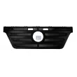 Grille de radiateur DT 4.62406 - Visuel 1