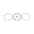 Jeu de segments de pistons DT 6.91174 - Visuel 1