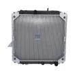 Radiateur, refroidissement du moteur DT 4.66315 - Visuel 1