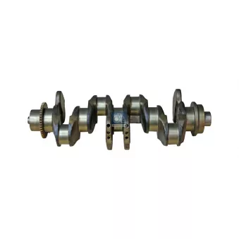 Vilebrequin DT 4.68659