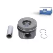 Piston DT 4.66676 - Visuel 1