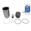 Kit de réparation, Piston/Chemise de cylindre DT 4.63981 - Visuel 1